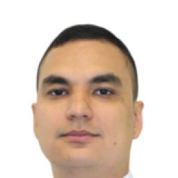 Куркиев Давид Киштилиевич